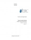 Como es la Actividad estructura y analisis de Mercado