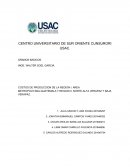 COSTOS DE PRODUCCION DE GRANOS BASICOS