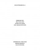 Nucleo Probemico 4. PREGUNTAS GENERADORAS