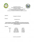 Medición del Mercado