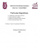 Particulas magneticas contrastantes