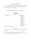 MATERIALES Y MÉTODOS RESULTADOS Y DISCUCIÓN