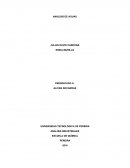 ANÁLISIS INDUSTRIALES ESCUELA DE QUÍMICA