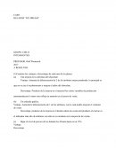 CASO HELADOS “ICE DREAM”