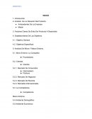 Analisis para la creacion de un producto pollo Sofía