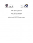 Reporte por escrito de la práctica de disección del cerebro de res