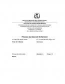 Proceso de atencion a enfermeria PLAN DE CUIDADOS DE ENFERMERÍA
