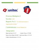 Uso del microscopio y organización celular