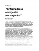 Ensayo “Enfermedades emergentes y reemergentes”