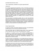 Tipos, caracteristicas de los gpos organizacionales