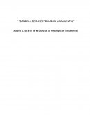 Como es el desarrollo de la Investigación documental