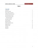 CARPETA DE ACEPTACIÓN DE TRABAJO