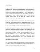 Las prácticas profesionales de campo