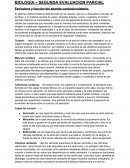 Estructura y función del aparato cardiocirculatorio.