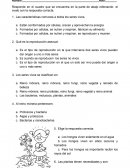 PRUEBA SABER CIENCIAS PRIMER TRIMESTRE