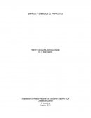 UN NUEVO PROYECTO DE MEJORA DEL DISEÑO Y EMPAQUE DE UNA BOLSA PLÁSTICA DE ARROZ