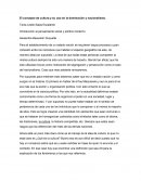 El concepto de cultura y su uso en la dominación y nacionalismo