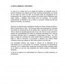 LA ROYA (HEMILEIA VASTATRIX)