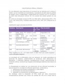 INSUFICIENCIA RENAL CRONICA.