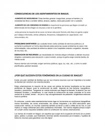 CONSECUENCIAS DE LOS ASENTAMIENTOS EN IBAGUE.. Página 1