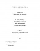 Ingeniería De Software Avanzada