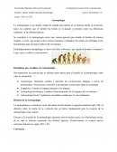 La antropología es un amplio campo de estudio que analiza al ser humano desde su evolución