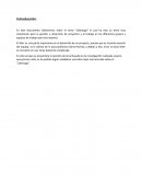 Ensayo del tema de liderazgo