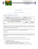 Cuales son las Secuencias preescolar