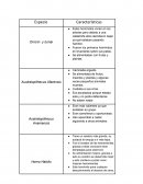 Caracteristicas de los Hominidos