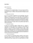 RELATORIA IDEAS PRINCIPALES