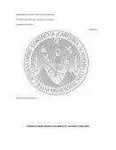 DIFERENCIA ENTRE AGENTES DIPLOMÁTICOS Y AGENTES CONSULARES