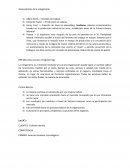 Antecedentes de la reingeniería