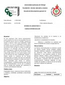 INFORME DE LABORATORIO # 1 FUERZAS INTERMOLECULARES