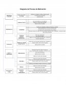 Diagrama de Proceso de Motivación