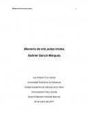 Resumen de memoria de mis putas tristes