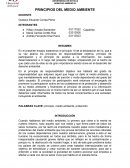 PRINCIPIOS DEL MEDIO AMBIENTE