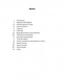 OBRA LA DIVINA COMEDIA