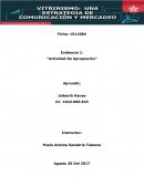Evidencia Actividad De Apropiación