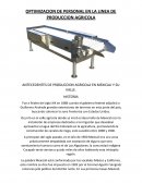 OPTIMIZACION DE PERSONAL EN LA LINEA DE PRODUCCION AGRICOLA