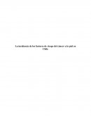 La incidencia de los factores de riesgo del cáncer a la piel en Chile