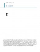 Sociologia Un género multifacético