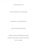 CASO PRACTICO MACON INC