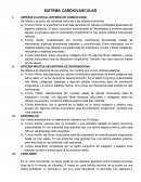 Sistema cardiovascular.ARTERIA ELASTICA (ARTERIA DE CONDUCCION)