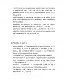 Anatomina. ENFERMERA DE CAMPO