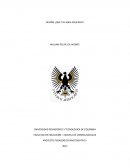 PROYECTO PEDAGOGICO INVESTIGATIVO I