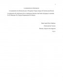 PRIMER ENSAYO CHIQUIZA