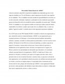 Diversidad Cultural dentro de AIESEC