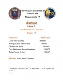 Biología Etapa 1. Descubrimiento de la penicilina