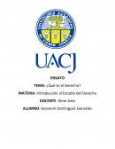 Introducción al Estudio del Derecho ¿Qué es el Derecho?