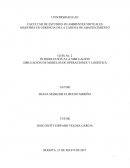 LA GRAN SIMULACIÓN DE MODELOS DE OPERACIONES Y LOGÍSTICA